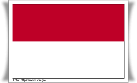 Corak Pemerintahan Pada Periode Negara Republik Indonesia Serikat