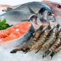 Asam Lemak Omega3 di dalam Makanan Laut Mencegah Penuaan