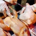 Ada Daging Busuk di Tiongkok, Resiko dan Cara Membedakannya