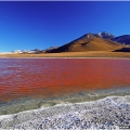 Laguna Colorada, Danau Garam Dua Warna