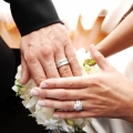 Intip Cicin Pernikahan Terunik di Dunia