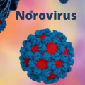 5 Gejala Norovirus Yang Bisa Memukul Anda Sungguh, Sangat Keras