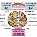 Otak Tengah dan Potensi yang Tersembunyi