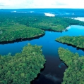 Mengenal Hewan Penghuni Sungai Amazon