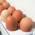 Efektifkan Menyimpan Telur Kemasan di Dalam Kulkas?