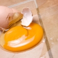 Trik, Membersihkan Pecahan Telur Di Lantai