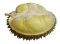 Tips Memilih Durian