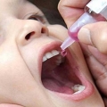 Temuan WHO Guna Memberantas Virus Polio