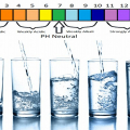 Air Alkali vs. Air Tersaring: Tahukah Anda Perbedaannya?