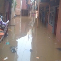 Anjuran Penanganan dan Pencegahan Dampak Penyakit Akibat Banjir