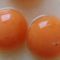 Amankah Makan Telur Dengan Bintik Darah? Berikut Faktanya