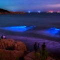 Pendar Biru di Lautan Pulau Matsu, Ada Apa Dibaliknya?