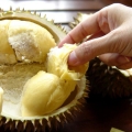 Bagaimana Durian Mempunyau Bau Sulfat yang Menyengat?
