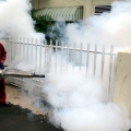 Fogging Di Luar Rumah Tak Menjamin Efektif Membunuh Nyamuk