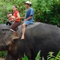 Yuk, Ajak Si Kecil Berwisata Binatang di Thailand