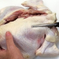 Kiat Mengolah Ayam Agar Terhindari dari Keracunan Makanan