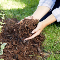 5 Cara Ramah Hewan Peliharaan untuk Menghilangkan Rumput liar dari Halaman Anda