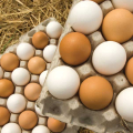 Apa Arti Nilai Telur yang Berbeda? Inilah Cara Mendekode Telur Anda