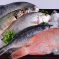Ikan Tinggi Merkuri Dilarang untuk Dikonsumsi Ibu Hamil