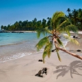 Pantai di Indonesia Tak Masuk Daftar Peringkat Pantai Terbaik di Dunia