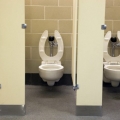 Bagaimana Cara Menghindari Penyakit Dari Toilet Umum, Menurut Dokter NHS