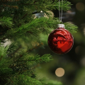 Waktu yang Tepat Menurunkan Pohon Natal