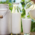 Susu Mentah atau Matang, Manakah Konsumsi yang Lebih Aman?