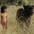 Kisah Mowgli, Anak Hutan dalam Film The Jungle Book