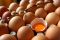 Tips Mengenali Telur yang Masih Segar