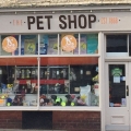 Ide Membuka Bisnis Pet Shop di Awal Tahun